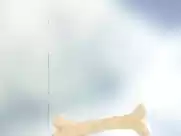 Robin Bain - Robot Chicken 2001, But With Boobs!