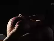 Jolanta Fraszyńska - Pora na czarownice (1993)