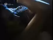 Andie MacDowell - Ruby Cairo (1992)