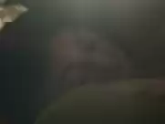 Lucy Hale nude in Dude (2018)