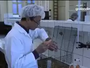 Groland nude - Centre de recherche aléatoire