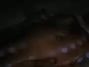 Cindy Crawford - Fair Game (1995)