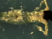 Leticia León - Molinas Borealis (2013)