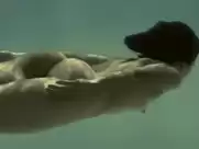 Leticia León - Molinas Borealis (2013)