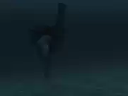 Leticia León - Sarima, Molinas Borealis 2 (2014)