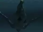 Leticia León - Sarima, Molinas Borealis 2 (2014)