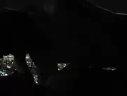 Joey King - The Kissing Booth (2018)