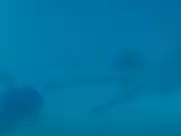 Maïwenn Le Besco, Estelle Lefébure - All About Actress