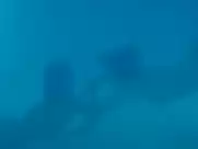 Maïwenn Le Besco, Estelle Lefébure - All About Actress