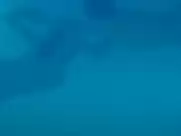 Maïwenn Le Besco, Estelle Lefébure - All About Actress