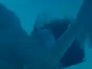 Maïwenn Le Besco, Estelle Lefébure - All About Actress