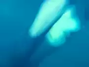 Maïwenn Le Besco, Estelle Lefébure - All About Actress