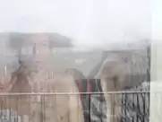 Maïwenn - L'amour est un crime parfait (2013, doubler)