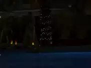 Amanda Seyfried, Amber Heard - Alpha Dog (2006)