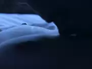 Laia Costa - Newness  (2017)