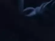 Laia Costa - Newness  (2017)