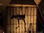 Julianne Moore - The Big Lebowski (1998)