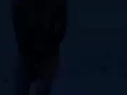 Junko Abe - Still the Water (2014)