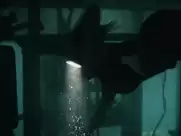 Alexandra Daddario - San Andreas (2015)