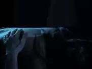 Shailene Woodley - Snowden (2016)