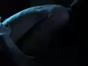 Shailene Woodley - Snowden (2016)