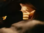 Margot Robbie - Focus (2015)