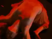 Jessica Chastain - Salomé (2013)