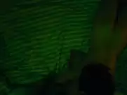 Abbey Lee, Carla Gugino - Elizabeth Harvest (2018)