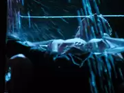 Kim Basinger - 9 1/2 Weeks (1986)