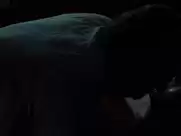 Kim Basinger - The Burning Plain (2008, body doubler)