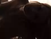 Amber Heard - The Informers (2008)