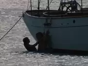 Amber Heard - The Rum DIary (2011)