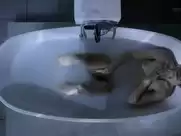 Alexia Barlier nude in Falco s4e5 (2016)