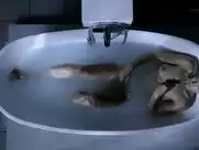 Alexia Barlier nude in Falco s4e5 (2016)