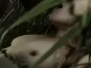 Marie Tourell Soederberg - 1864 S01E02 (2014)