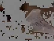 Inés Sastre - Par-delà les nuages (1995)