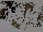 Sophie Marceau - Al di là delle nuvole (1995)