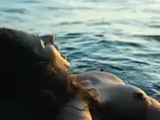 Aleksandra Popławska - Kobiety mafii (2018)