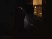 Chloë Grace Moretz - The Miseducation of... (2018)