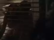 Sara Malakul Lane - Sun Choke (2015, FullHD & slow-mo)