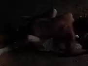 Jennifer Connelly - Of Love and Shadows (1994)