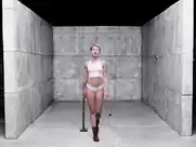 Miley Cyrus - Wrecking Ball (2013) uncut version