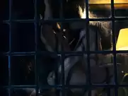 Ruby O. Fee - Polar (2019)