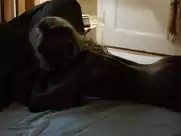 Lorna Ishema - Die vermisste Frau (2016)