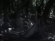 Ximena del Solar - Perfidia (2014)