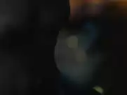 A. Cipariu, E. Anselin, M. Irrmann, P. Beer - Bad Banks