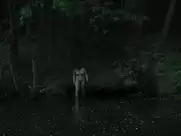 Eva Melander - Border (Grans) (2018)