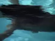 Catrin Striebeck - Unter Verdacht - Das Karussel (2004)