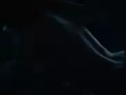 Catrin Striebeck - Zwischen den Jahren (2017)