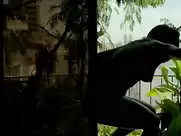 Camila Morgado, Maricel Alvarez - Vergel (2017)